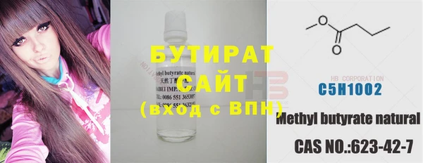 индика Алексин