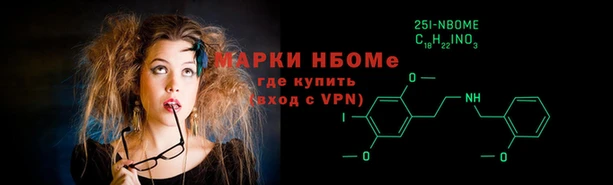 индика Алексин