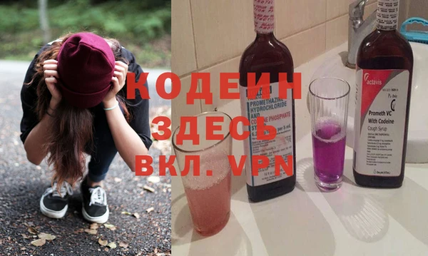 индика Алексин