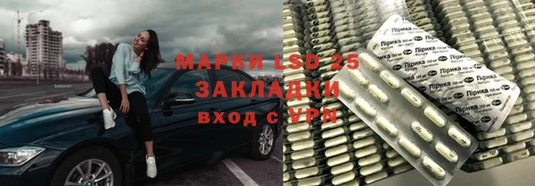 индика Алексин