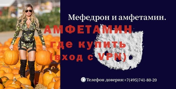 индика Алексин