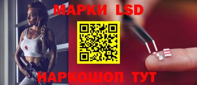 прущие грибы Можга