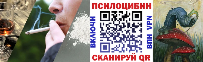 Галлюциногенные грибы Psilocybe  где купить   Кольчугино 